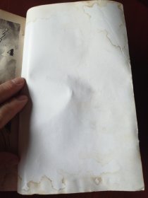 美少女战士月亮4