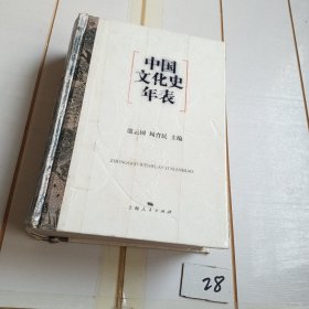 中国文化史年表（外皮用胶带粘贴）