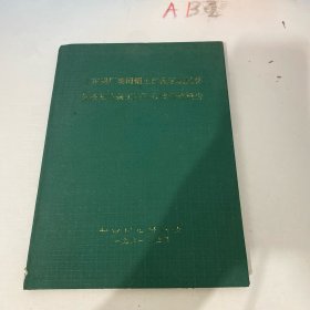 山东铝厂湖田铝土矿盐区机械化分条充填采矿法可行性研究报告