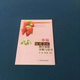 草莓疑难杂症图片对照诊断与处方   无公害蔬菜病虫害防治实战丛书