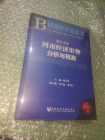 河南经济蓝皮书:2013年河南经济形势分析与预测（全新未拆封）