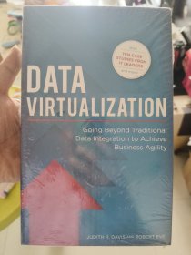 Data Virtualization: Going beyond Traditional Data Integration to Achieve Business Agility 英文原版 全新未折封