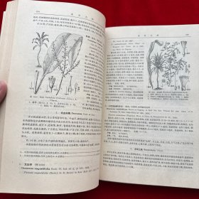 海南植物志（第四卷）精装