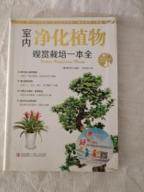 情趣生活系列：室内净化植物观赏栽培一本全