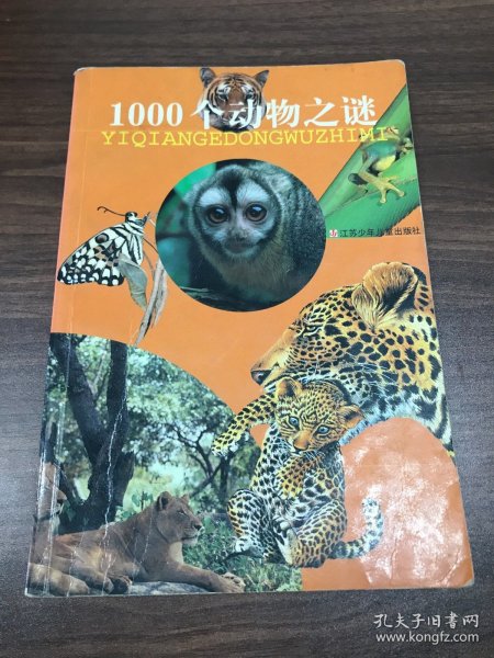 1000个动物之谜