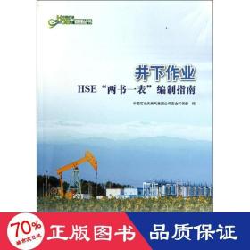 井下作業(yè)hse“兩書一表”編制指南 能源科學 吳蘇江
