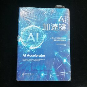 AI加速键——上海人工智能创新发展探索与实践案例集