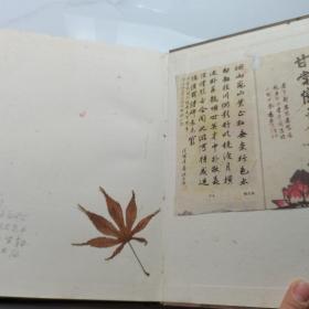 中国历代绘画图谱.花鸟走兽