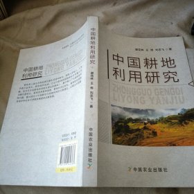 中国耕地利用研究