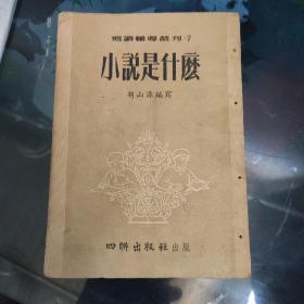 小说是什么，发行量3000份。