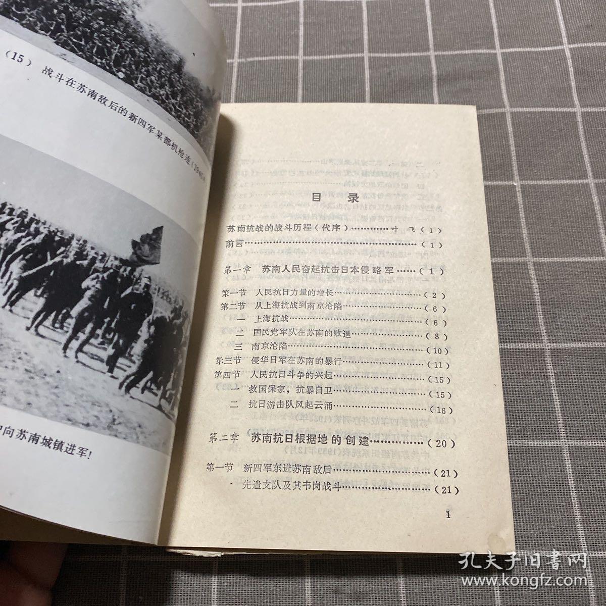 苏南抗日斗争史稿。