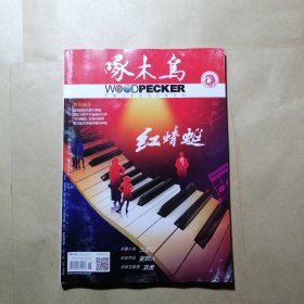 啄木鸟 2024 6