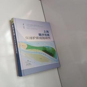 上海横沙浅滩保滩护岸成陆研究