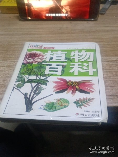 植物百科