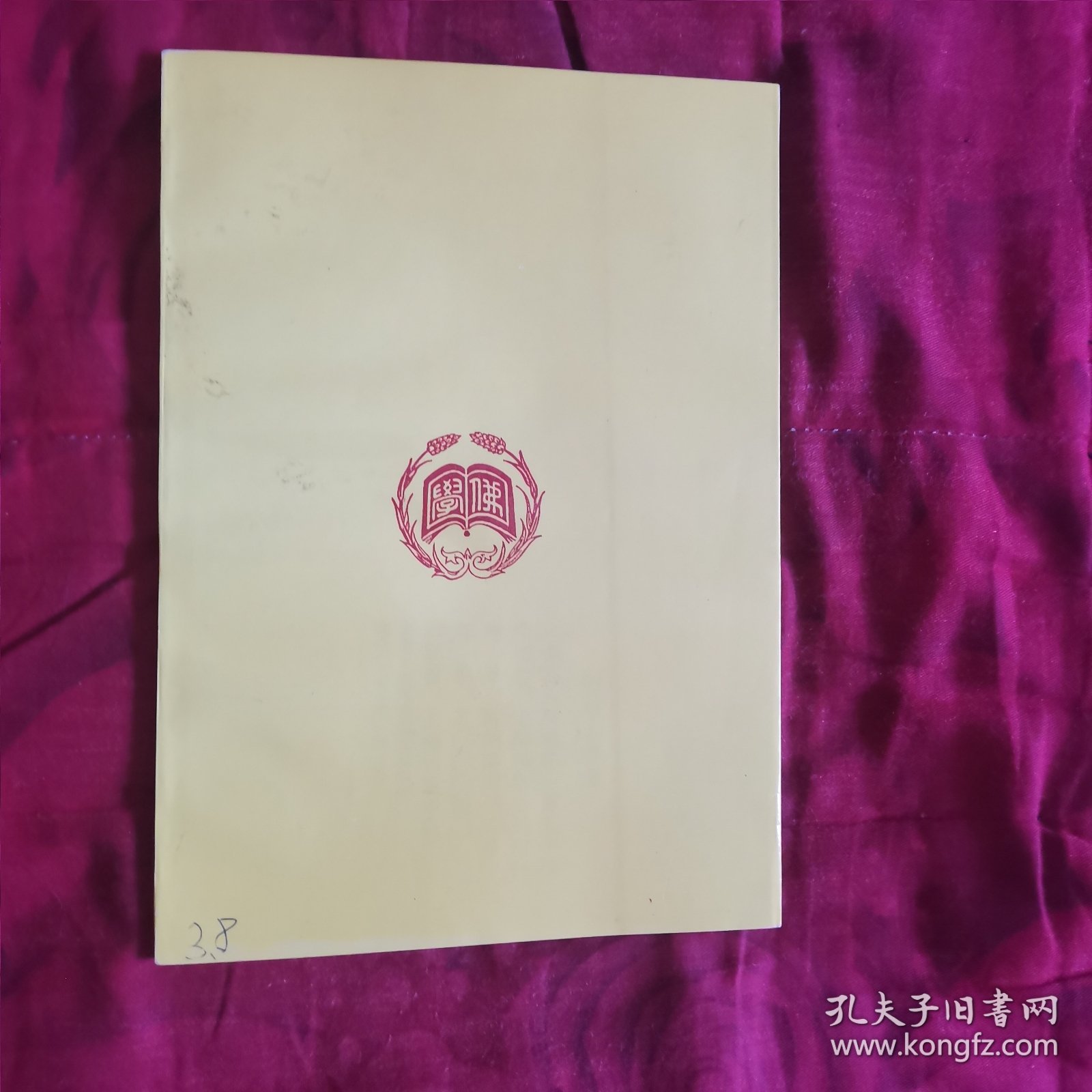 能海上师传（2卧靠东墙北）