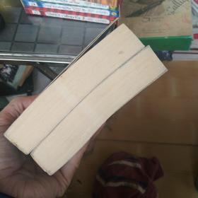 施公案（上下）中国古典将侠小说精品集