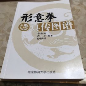 形意拳真传图谱