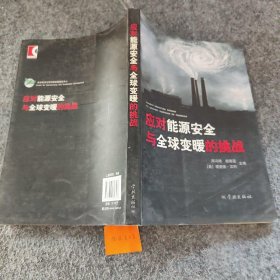 应对能源安全与全球变暖的挑战[美]汉利  主编；周冯琦；胡秀莲