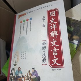 绿卡图书 图文详解文言文(RJ版)高中