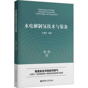 水电解制氢技术与装备 能源科学 王廉舫 编