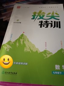 拔尖特训数学七年级下浙教版