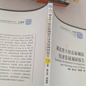 湖北省大悟县新城镇经济发展调研报告