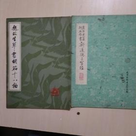 赵敏生草书胡茄十八拍、、真草隶篆纾五体书新道德三字经