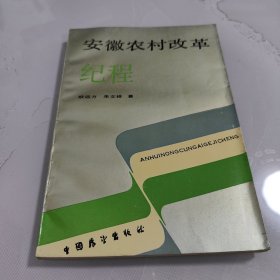 安徽农村改革纪程