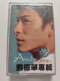 我恨我痴心 刘德华