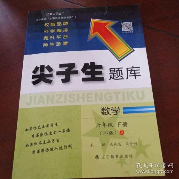 2020春尖子生题库系列--数学六年级下册（北师版）（BS版）