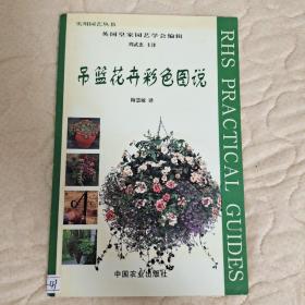 吊篮花卉彩色图说