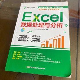 Excel数据处理与分析