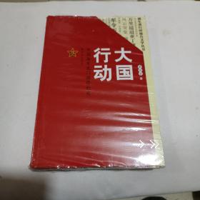 大国行动：中国海军也门撤侨纪实/强军进行时报告文学丛书