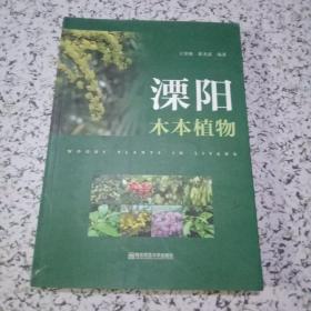 溧陽木本植物