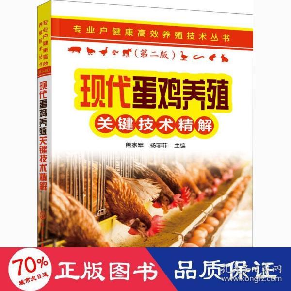 专业户健康高效养殖技术丛书--现代蛋鸡养殖关键技术精解