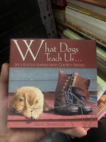 What Dogs Teach Us...: Life's Lessons Learned fr