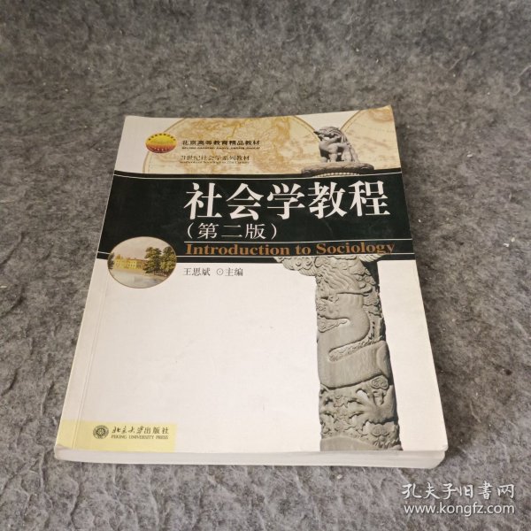 21世纪社会学系列教材：社会学教程（第二版）