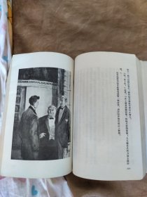 翻译小说，天才下册