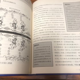 YOU身体使用手册2-腰部管理