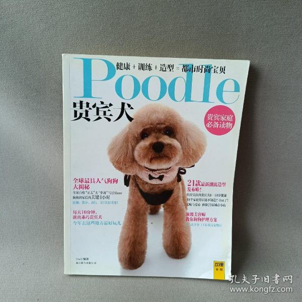 Poodle 贵宾犬