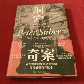 洞穴奇案 法哲学专业领域寓言式的经典文献，优秀跨学科通识教育的理想读本