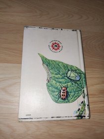 Insect Pests Zim and Fichter 英文版 精装 馆藏书 彩色版