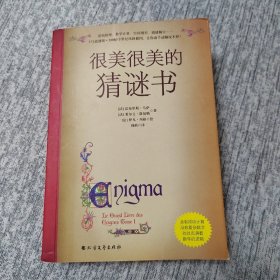 很美很美的猜谜书(升级版)：巴黎彩绘解谜手册！激发孩子数学兴趣入门书！172道谜题+200幅中世纪风格插画，精雕细琢的图腾，全书充满故事性与神秘感