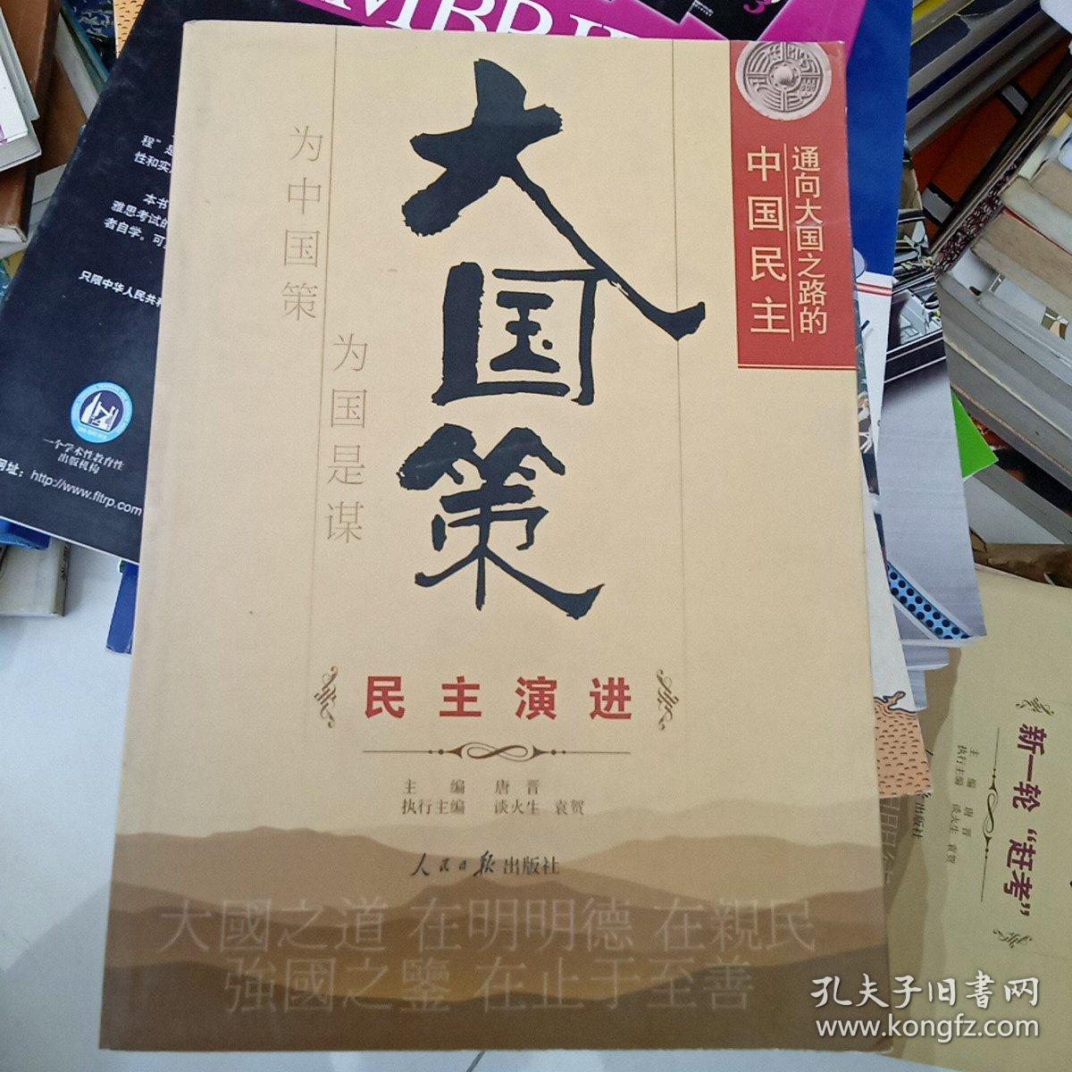 通向大国之路的中国民主：民主演进