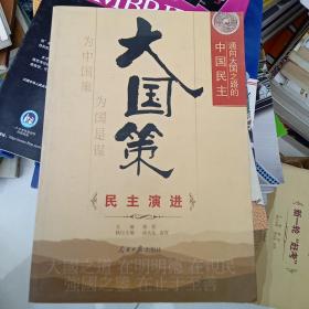 通向大国之路的中国民主：民主演进
