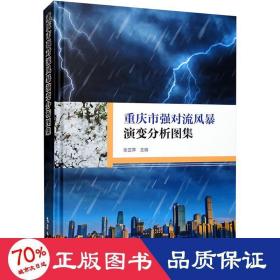 重庆市强对流风暴演变分析图集