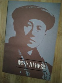 郭小川诗选，上下册，板品