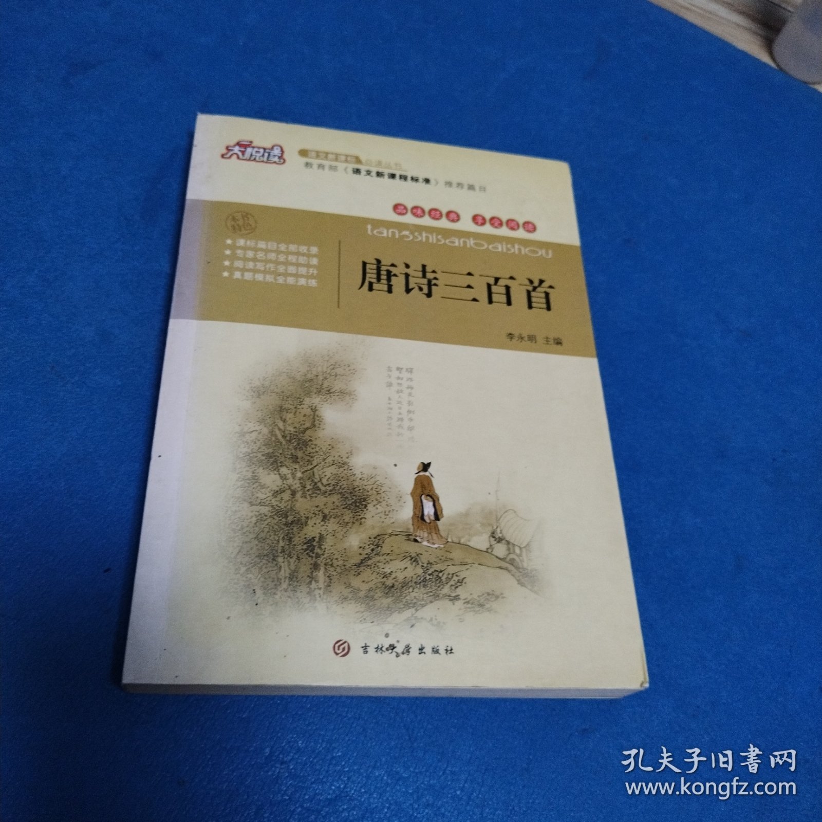 唐诗三百首（一版一印，无写划）