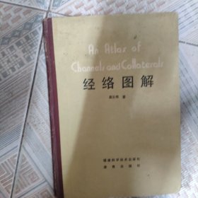 經(jīng)絡(luò)圖解（彩圖精裝）