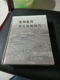 贵州董菁发掘报告(精)